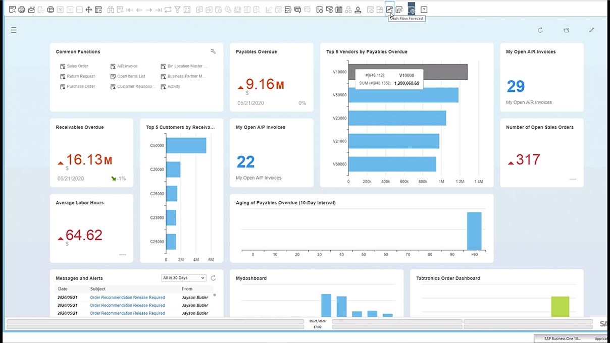 Screenshot_Working with the HANA Cash Flow Forecast Report in SAP